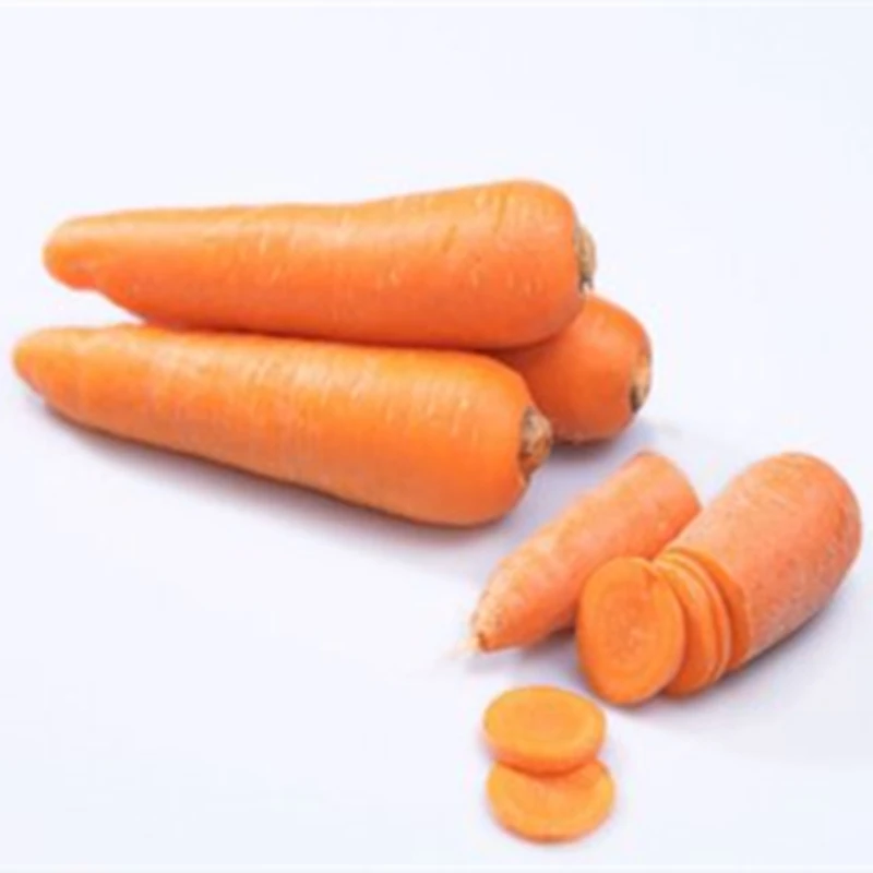 Pure Natural Wholesale Fruit Juice Beverage Carrot extract Carrot Powder