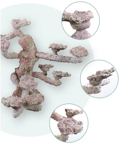 Factory Direct  Porous Aquascaping Rock for  Reef aquarium decoration  ZAR2002