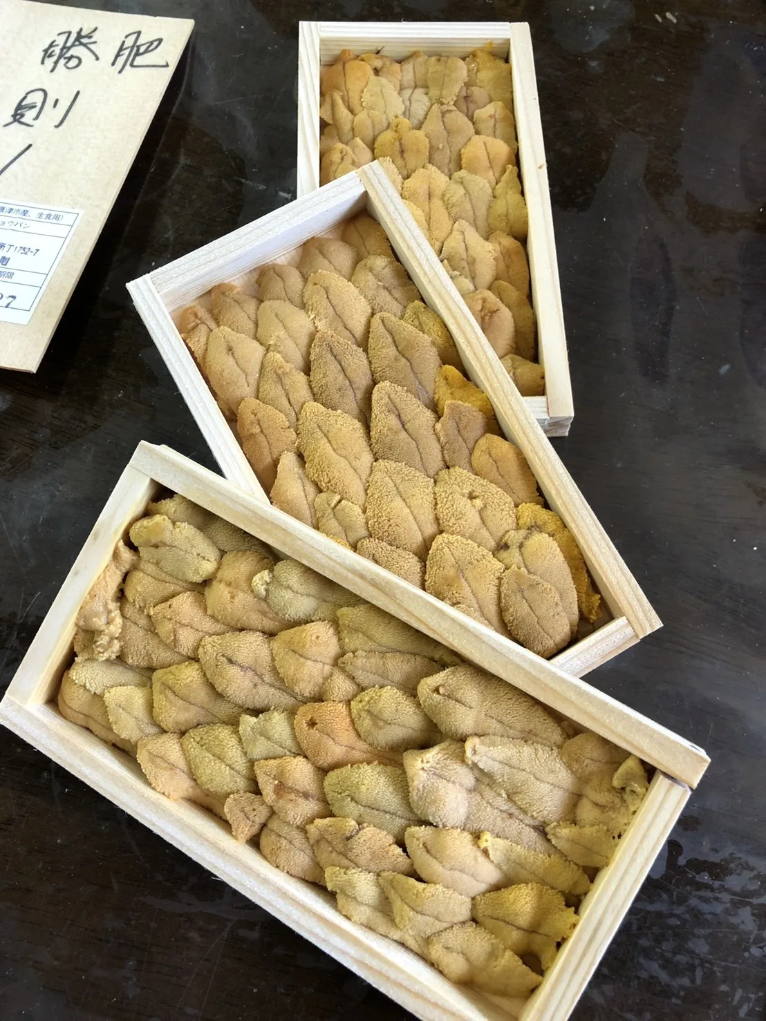 
Japan processed wholesale vacuum just-caught red fresh sea urchin 