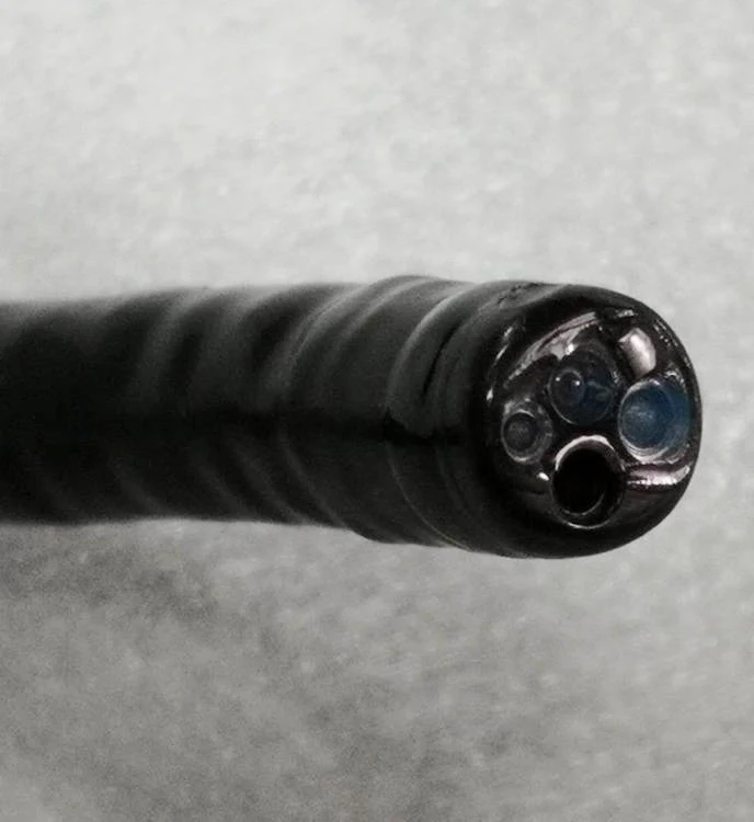 USB option video gastro-colonoscope for horse