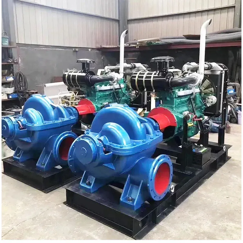 Large Flow Rate High Suction Electric Double Suction Single Stage Water Pumps Horizontal Centrifugal Pump