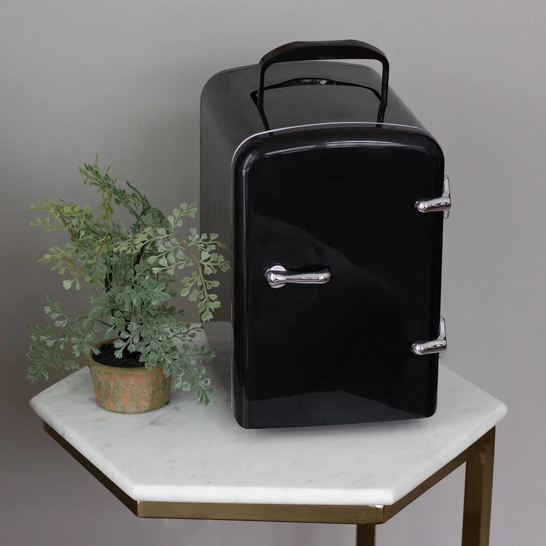 12V 110V-220V Mini car fridge Thermoelectric cooler and warmer fridge 4L fridge coolers