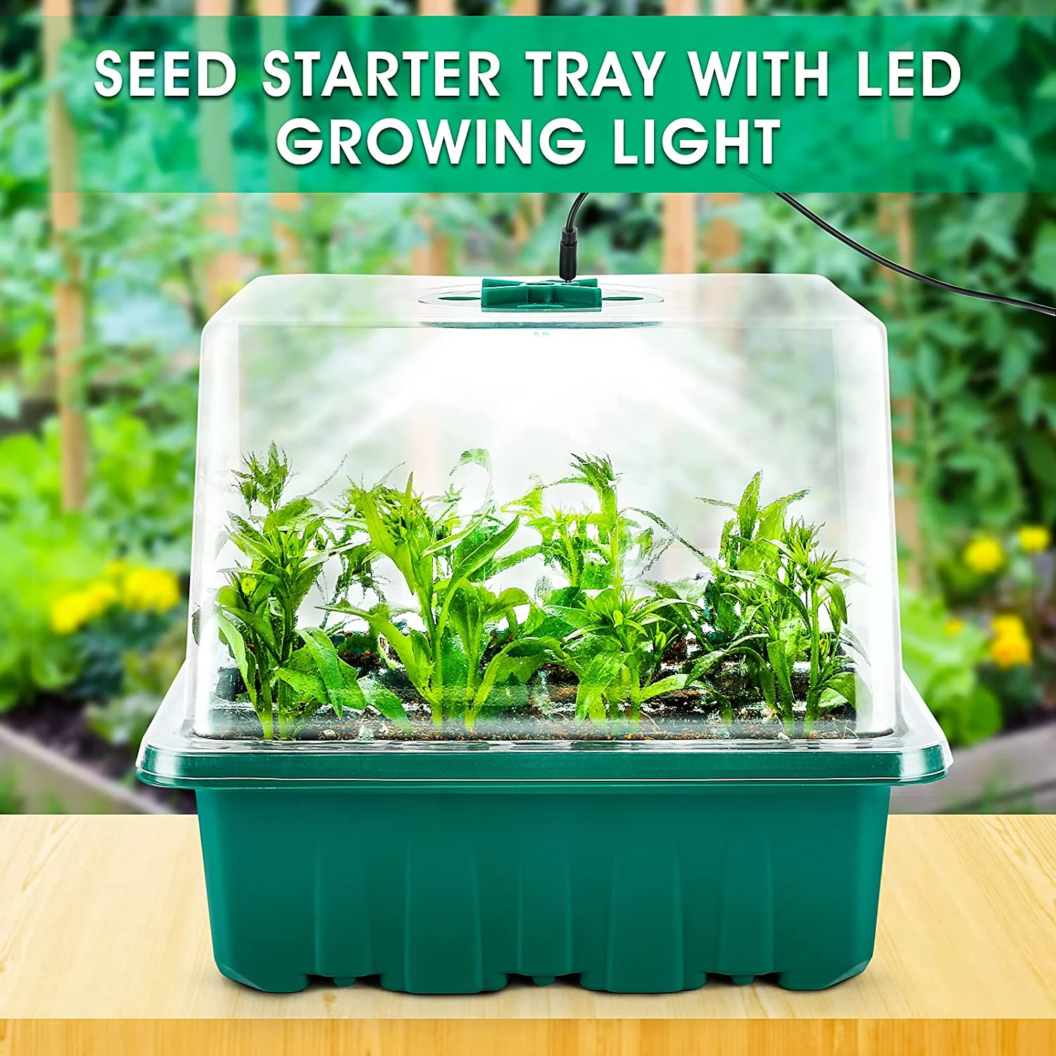 Seed Starter Tray Mini Propagator Plant Grow Kit with Humidity Vented Adjustable Domes for Home Garden Greenhouse Seeds Growing