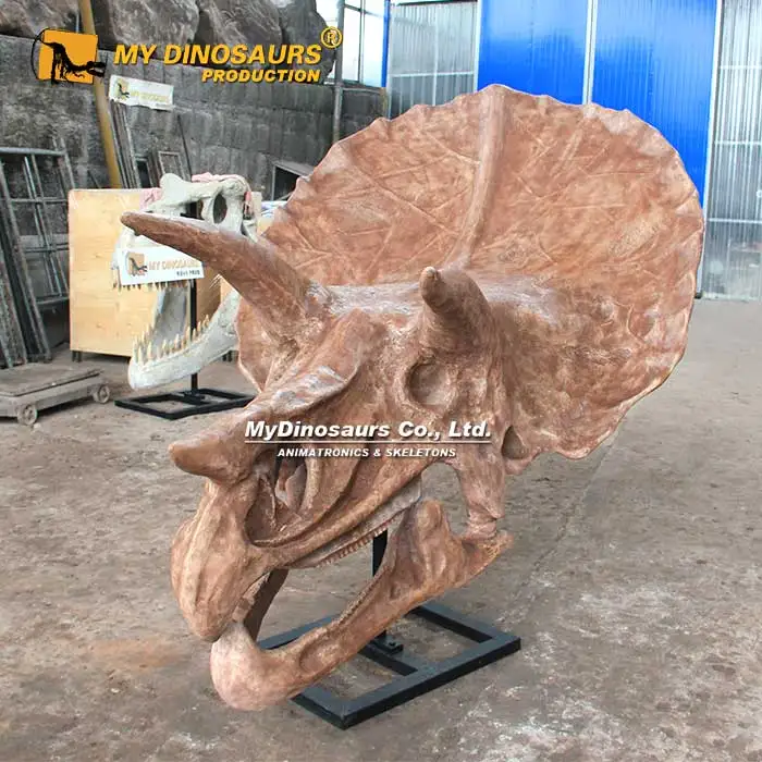 Z My Dino DS-055 Wholesale Realistic Dinosaur Skeleton Triceratops Skulls