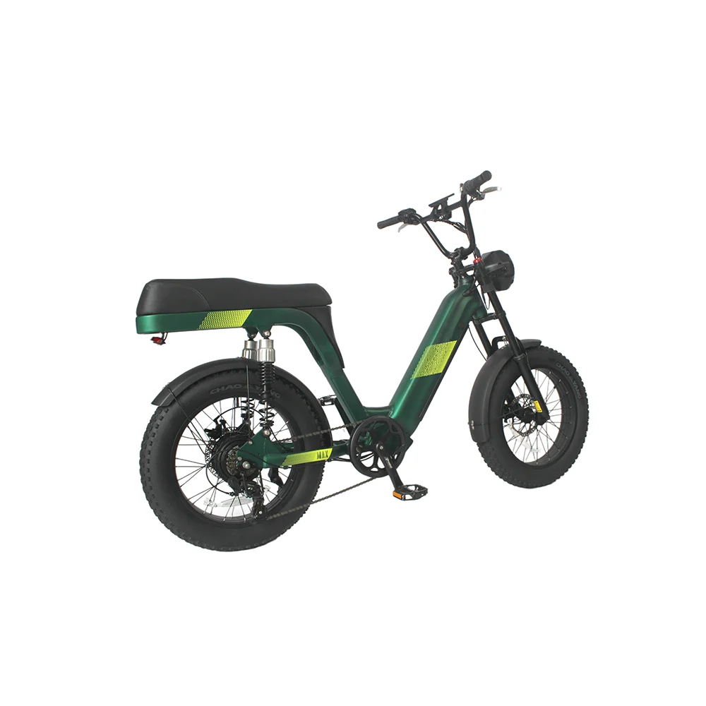 High Grade 20 Inch Electr Fat Tire Bike Electrical Bicycle Bicicletas Electric City Mountain Street Bike