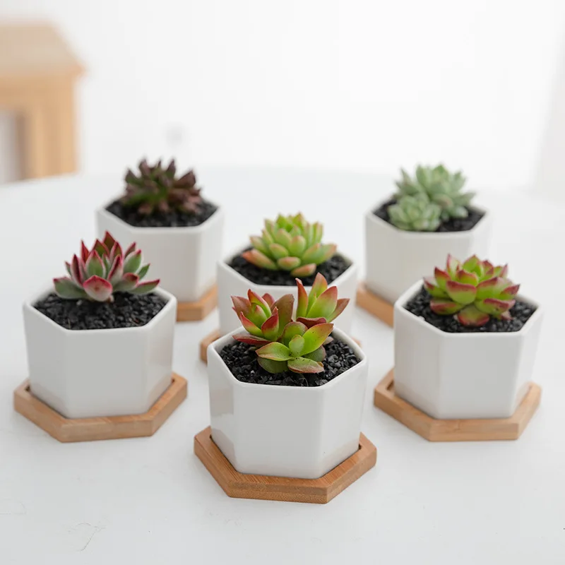 Wholesale Modern White Decorative Garden Mini Humanoid Porcelain Ceramic Flower Pot with Bamboo Tray Succulent Plant Pots