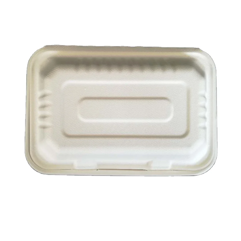 100% биоразлагаемая одноразовая упаковочная коробка из сахарного тростника