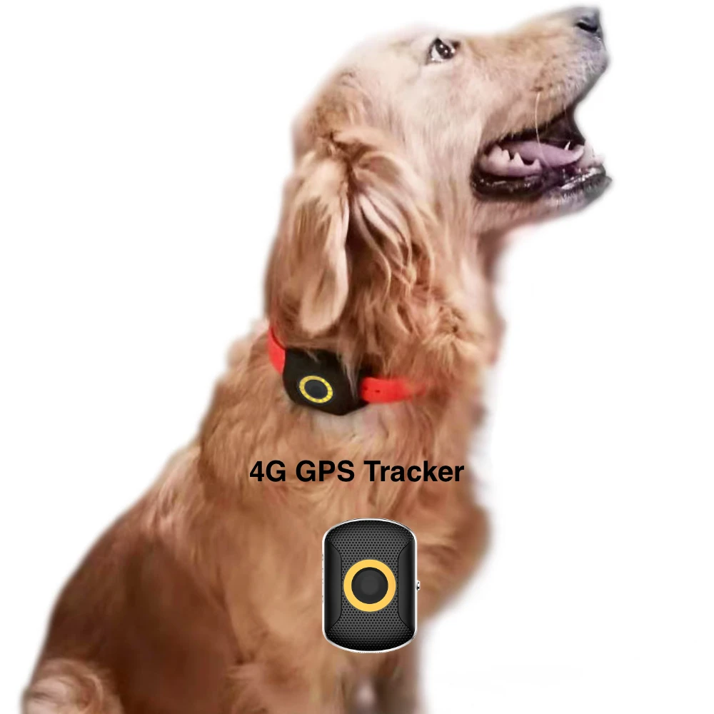 4G WIFI LBS IP67 водонепроницаемый ошейник для собак с GPS-трекером