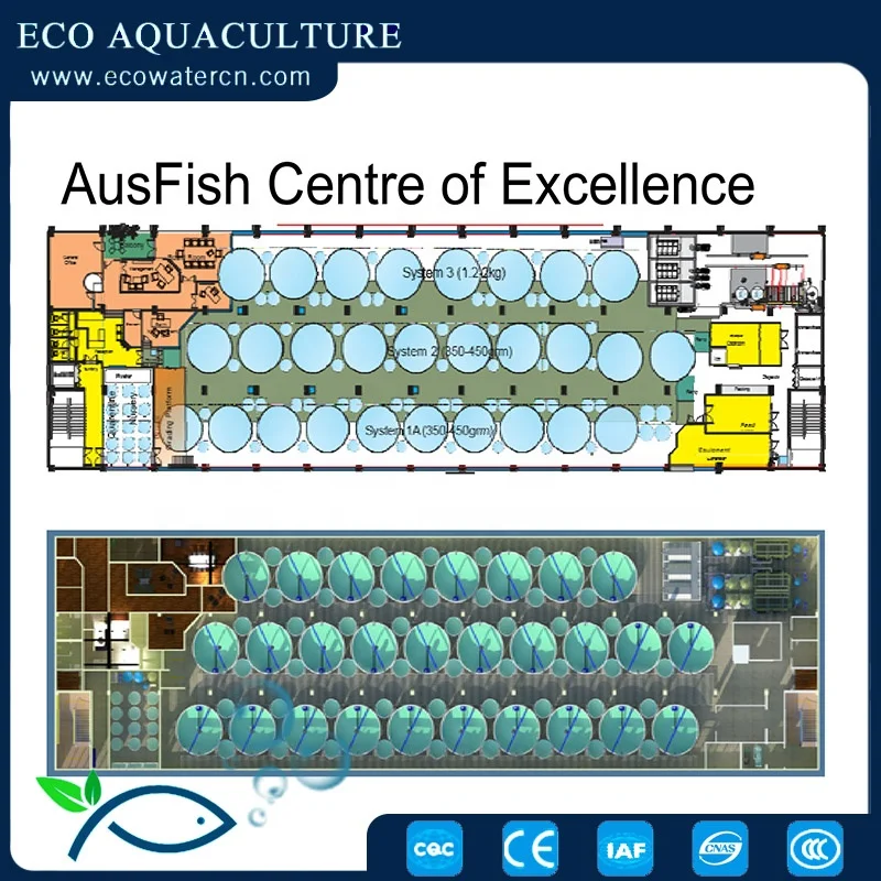 RAS system--Online water quality monitoring/drum filter/UV serilizer
