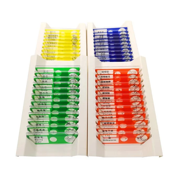 12pcs/set Plastic Microscope Slides Safe Children Slide for Kids Leaning
