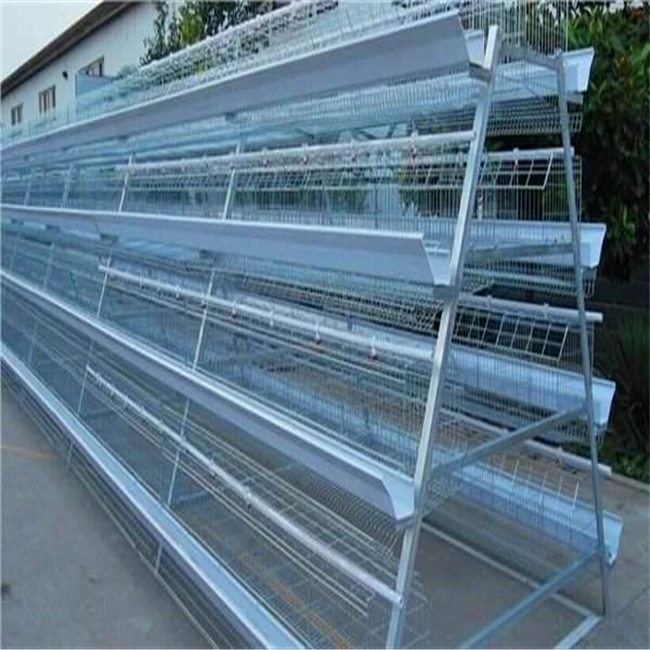 Professional R & D and production of automation equipment layer chicken cage for chicken farm