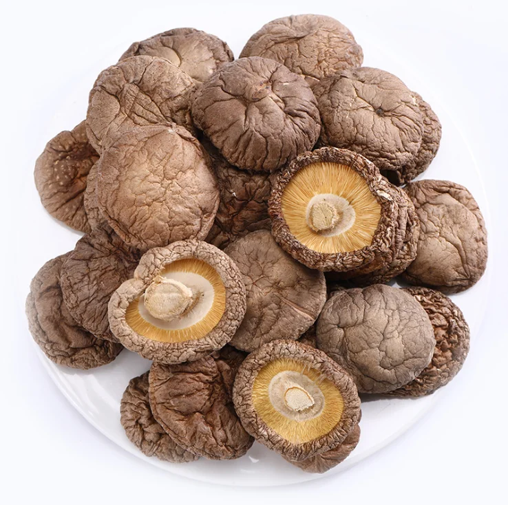 
Best quality dried shiitake mushrooms wholesale 2-6 cm 
