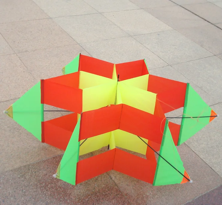 Hot Sell Huge 3D Kite For Flying