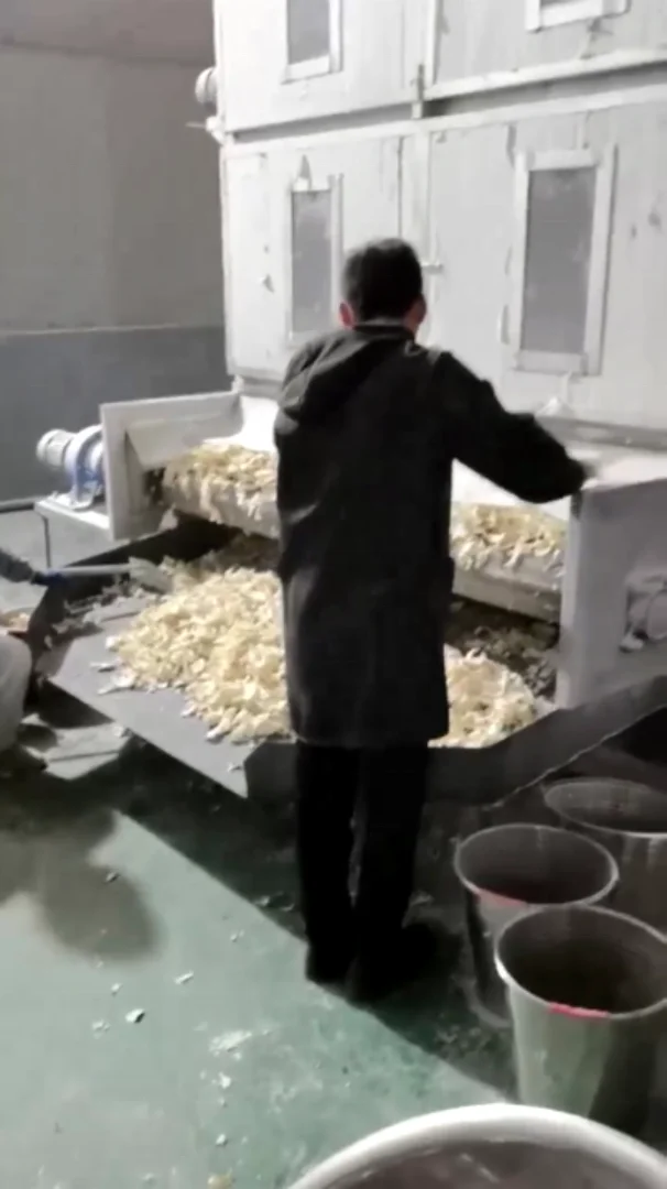 Сушильная машина porang konjac 30 тонн/24 часа с газовой плитой для струйных чипов konjac, обработка порошка konjac