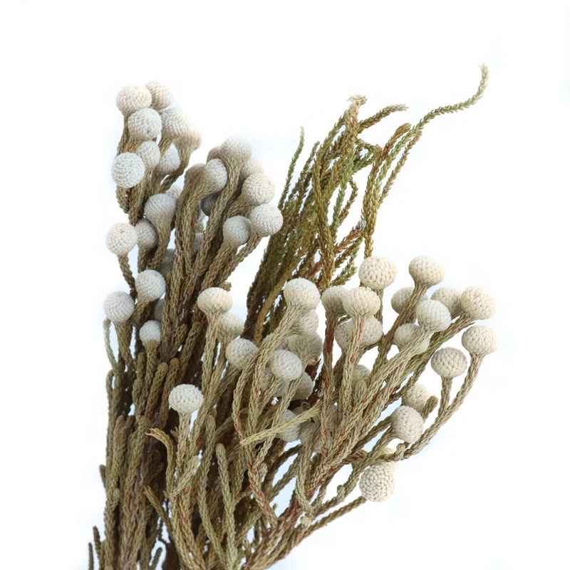 Сухие цветы, клейкие цветы, высококачественный материал, неувядающий натуральный Настенный декор для свадьбы, сушеные цветы лаванды