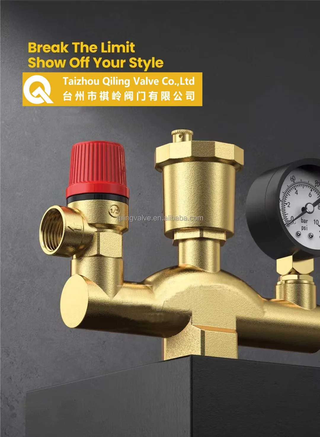Multi-functional CE WRAS customized pressure balance gas release boiler lpg safety valve sets