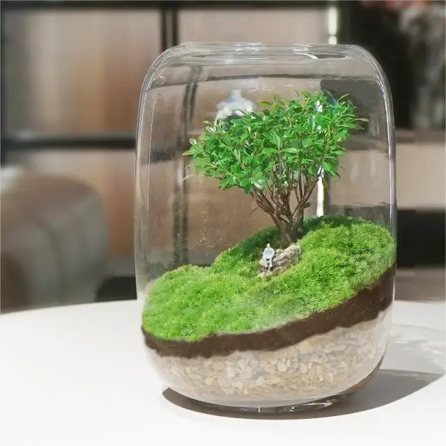 LONGSTAR Creative Desktop Micro Landscape Vase DIY Green Plant Ecological Bottle Moss Landscape Bottle Modern Simple Flower Vase