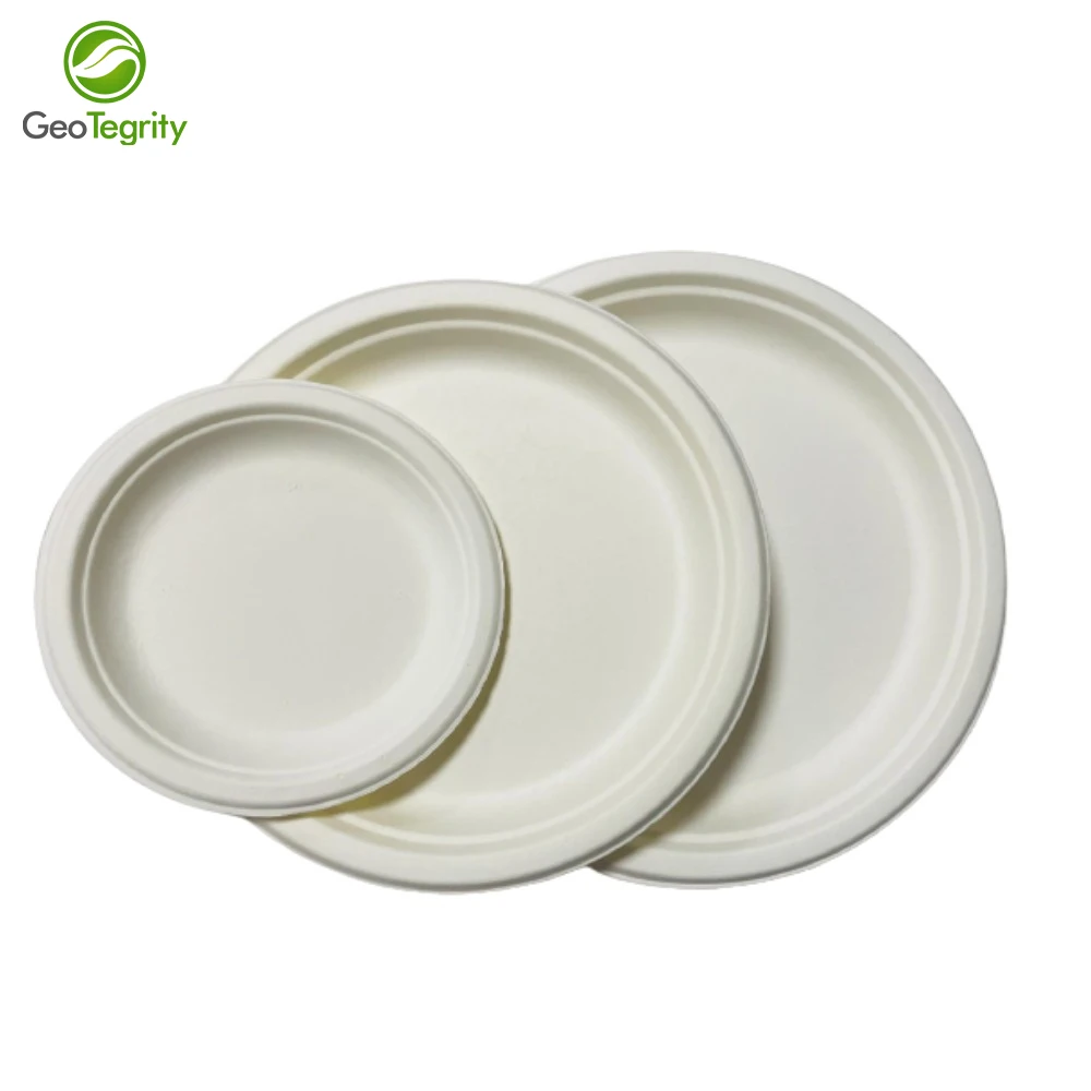 Customized Bio Degradable Disposable Bagasse Sugarcane Paper Plate