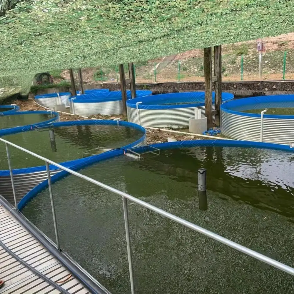 China plier Wholesale Customizable  High Quality  Aquaculture Tilapia & Shrimp Ras System  fish farming tank