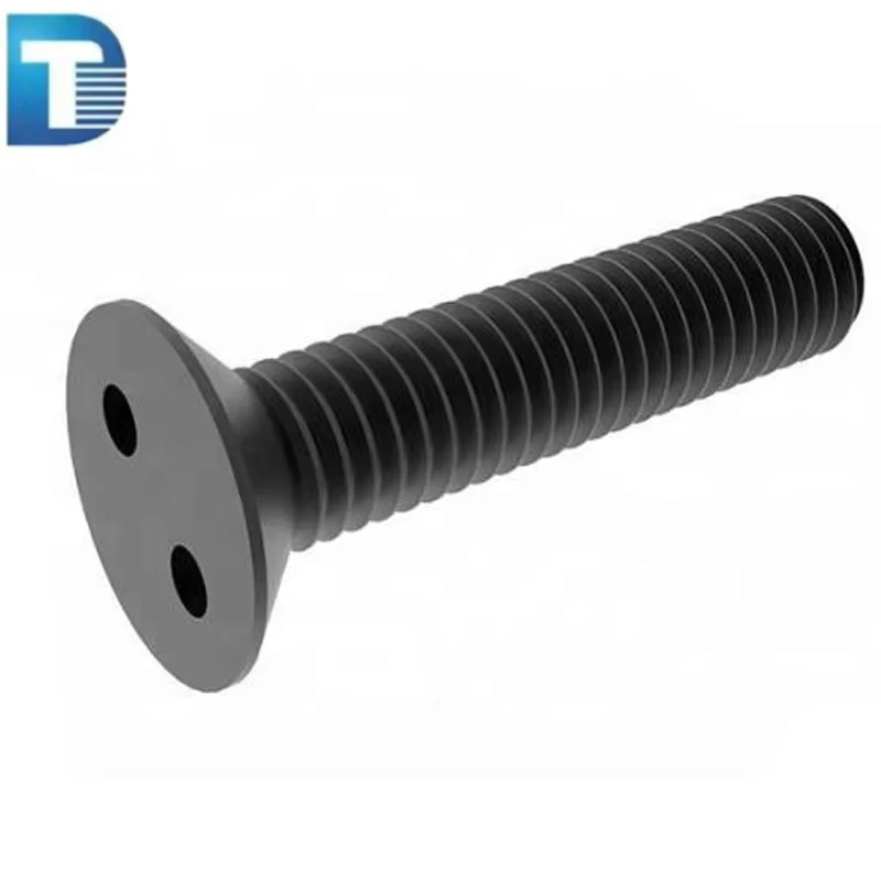 M3 M5 M6 Stainless Steel AISI304 316 ANSI304 316 Two Holes Snake Eyes Pig Nose Flat Round Head Security Bolt Anti Theft Bolt