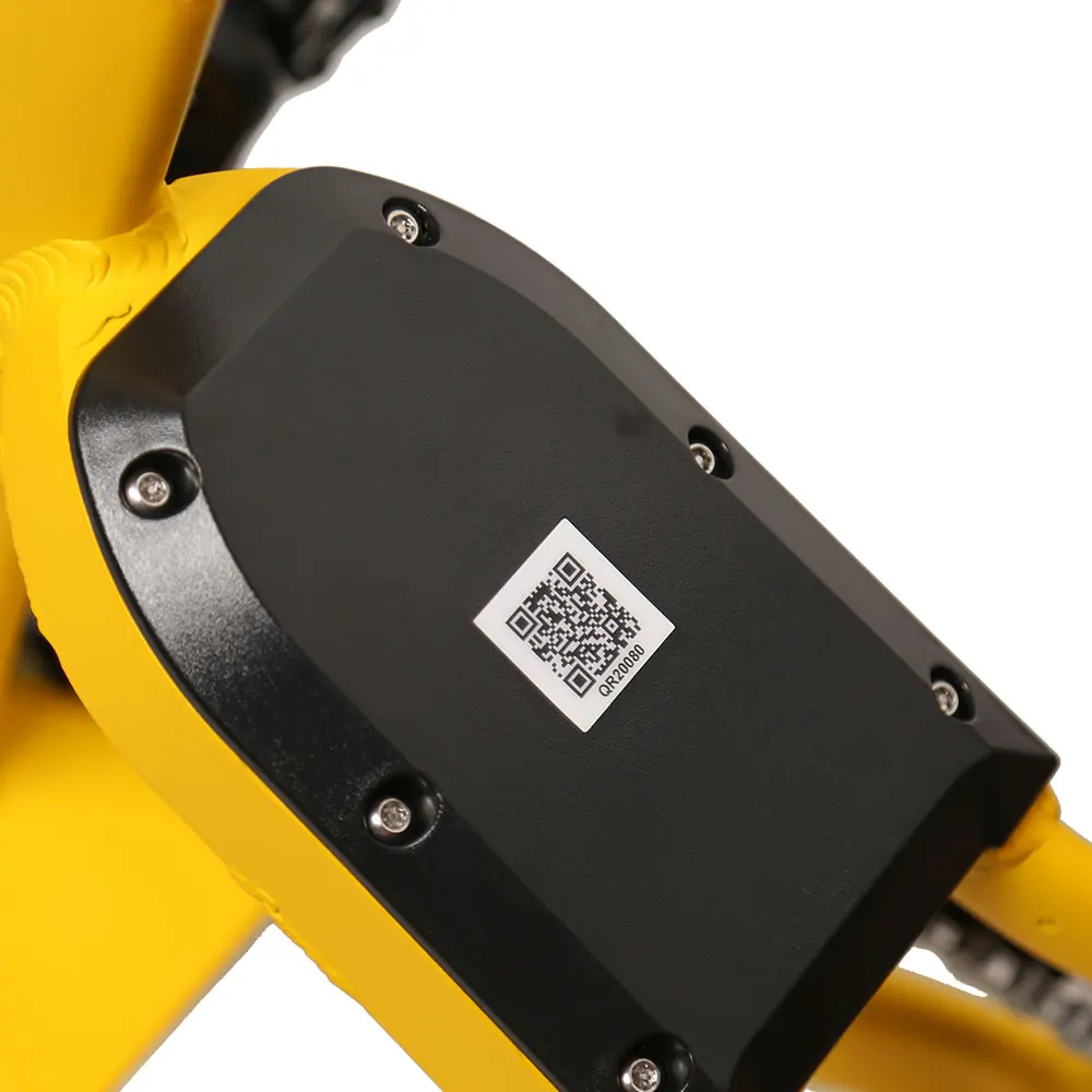 TXED cargo sharing bike electric 3 wheel 250W motorcycles electric bicycle for delivery for adult