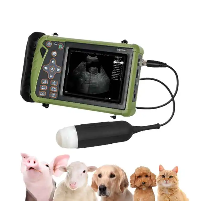 Dawei Pig Pregnancy Livestock Pregnancy Scanners Veterinary Ultrasound Machine Cost