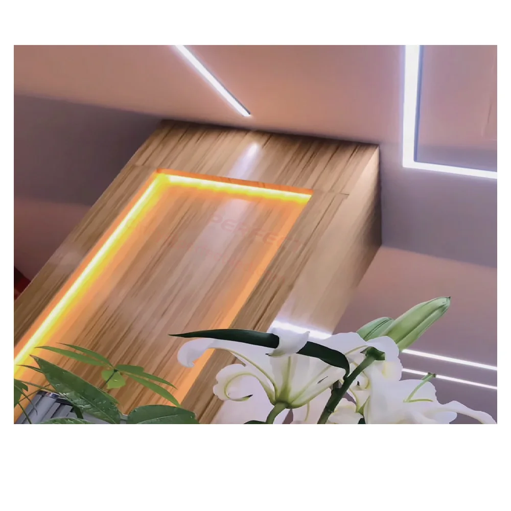 New design neon flex light top view 20*20mm with neon led tube for make neon sign