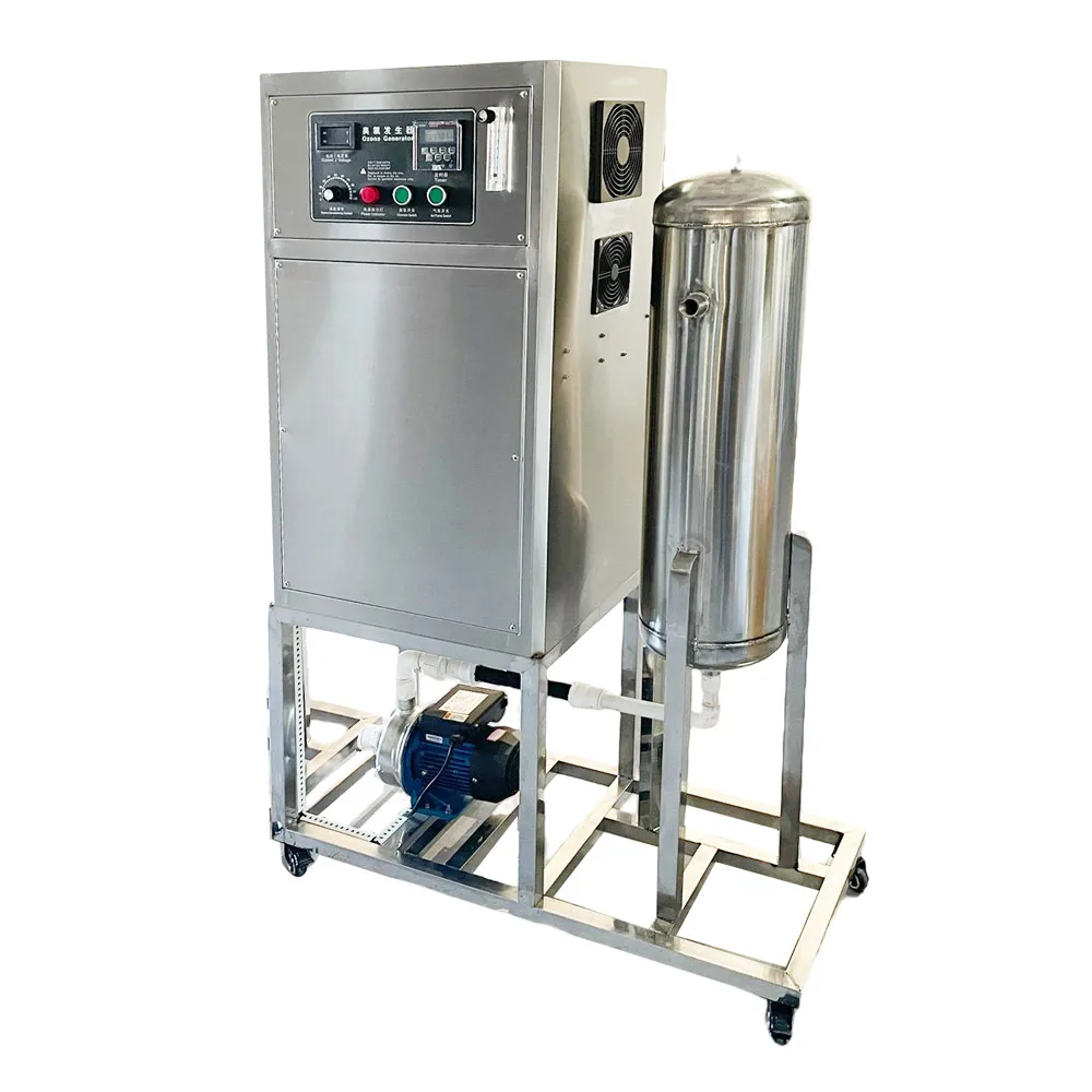OEM advanced oxidation processes ozone generator water purifier sewage treatment equipment for aquaculture wastewater