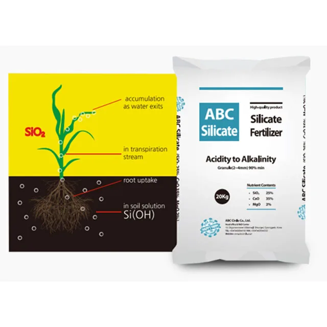 Increase the phosphate available and its rapid absorption ABC silicate