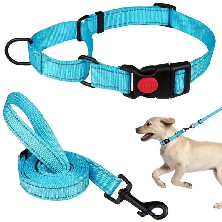 Heavy Duty OEM Popular Adjustable Durable Polyester Pet Accessories Dog Collar Leash Set For Medium Large Dogs