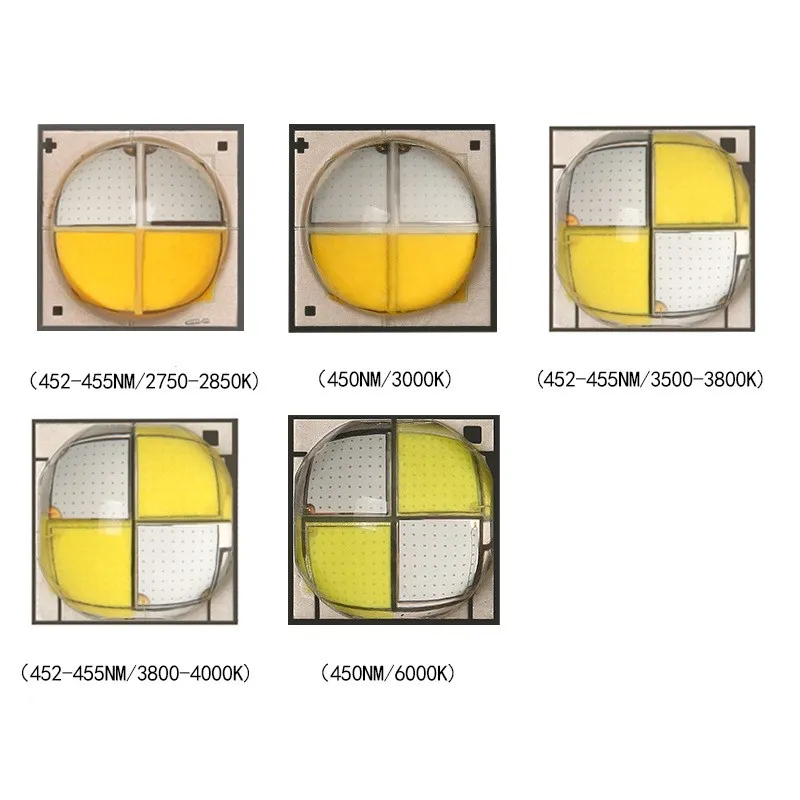 High Power Osram 6065 7070 Size 40W 80W 100W 6V 3A 450NM 660NM White rgbw SMD LED Lamp Bead Diode for car headlight lighting