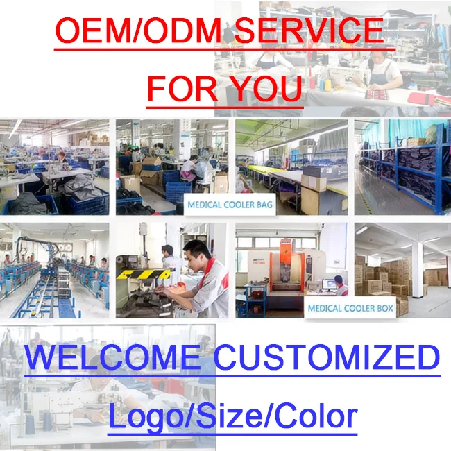 Hot-selling Medical Cooler Box Microbiology Sample Biological Insulated Carrier