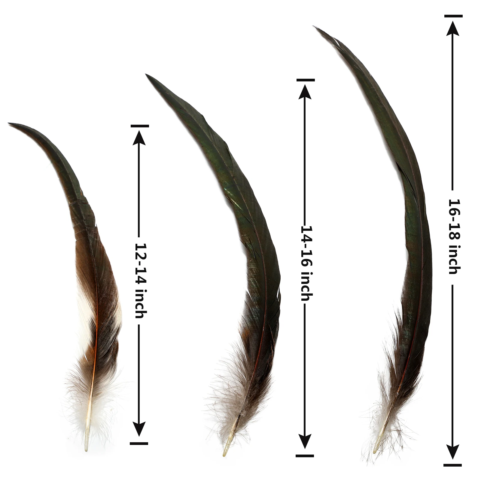Hot sales Feathers for Party Halloween Wedding Decoration Bulk Natural Colorful Rooster Coque