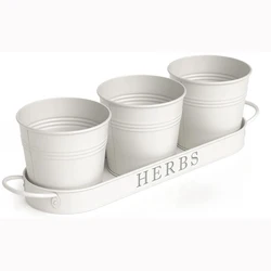 Garden Galvanized Indoor Flower Pot Set Kitchen Herb Pots Planter With Tray
