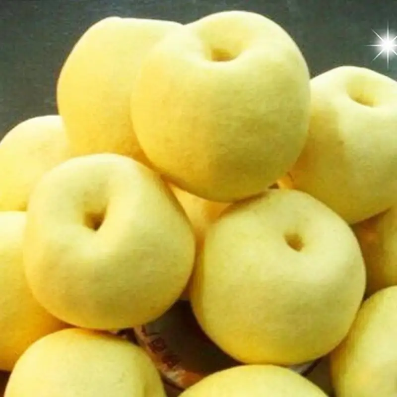 Fresh farm natural products fresh pear good quality sweet pear with cheap price wholesale fruits