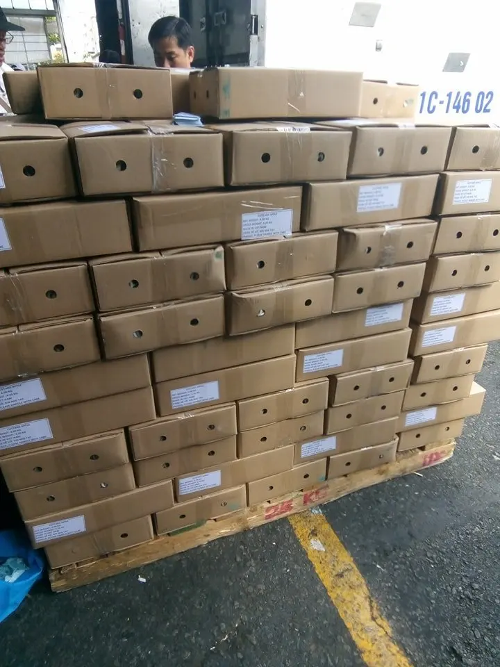 Свежий заварной яблочный фрукт из Вьетнама по конкурентоспособной цене изысканный вкус-сладкий соответствует экспортным