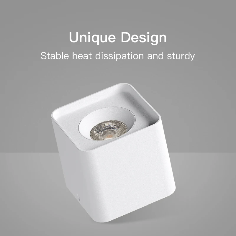 XRZLux Square Led Downlight 20W Double Heads COB Living Room Corridor Aisle Ceiling Spotlights AC110V 220V Ceiling Lamp