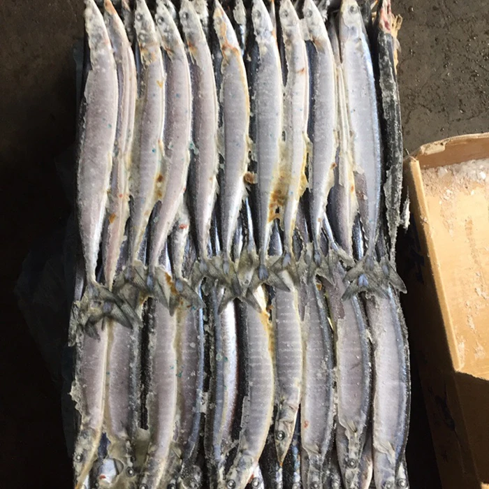 Top Fresh New Coming Frozen Pacific Saury