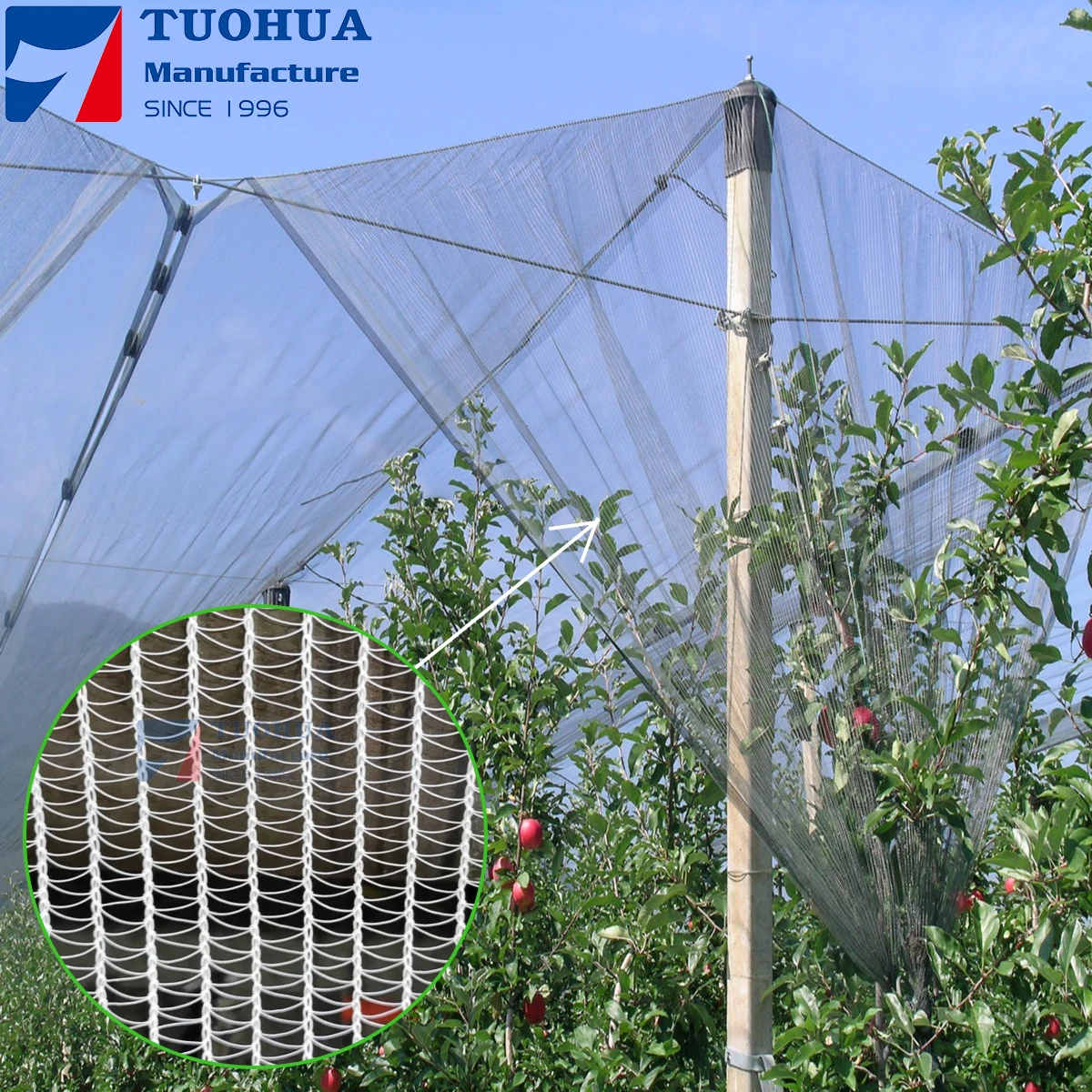 English leno weave structure Anti Hail Net with 0.3MM yarn