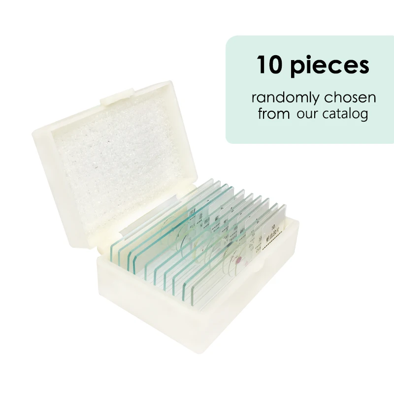 Factory Biology high quality and best price 8pcs plant root tip L.S. microscope prepared slides for botany biology set