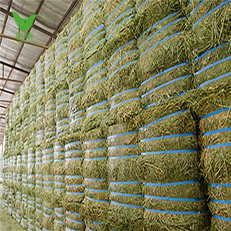 
Top quality alfalfa hay bales Animal Feed forage crops 