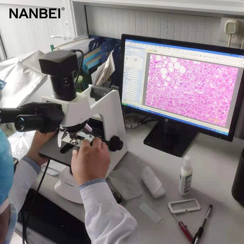 laboratory binocular microscope with camera