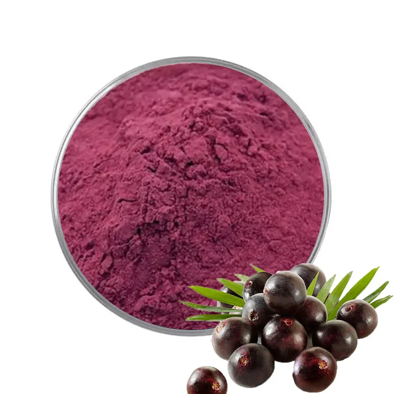 Supply Organic Freeze Dried Acai Berry Powder Water Soluble Acai Berry Fruit Powder Acai Berry Powder Brazil