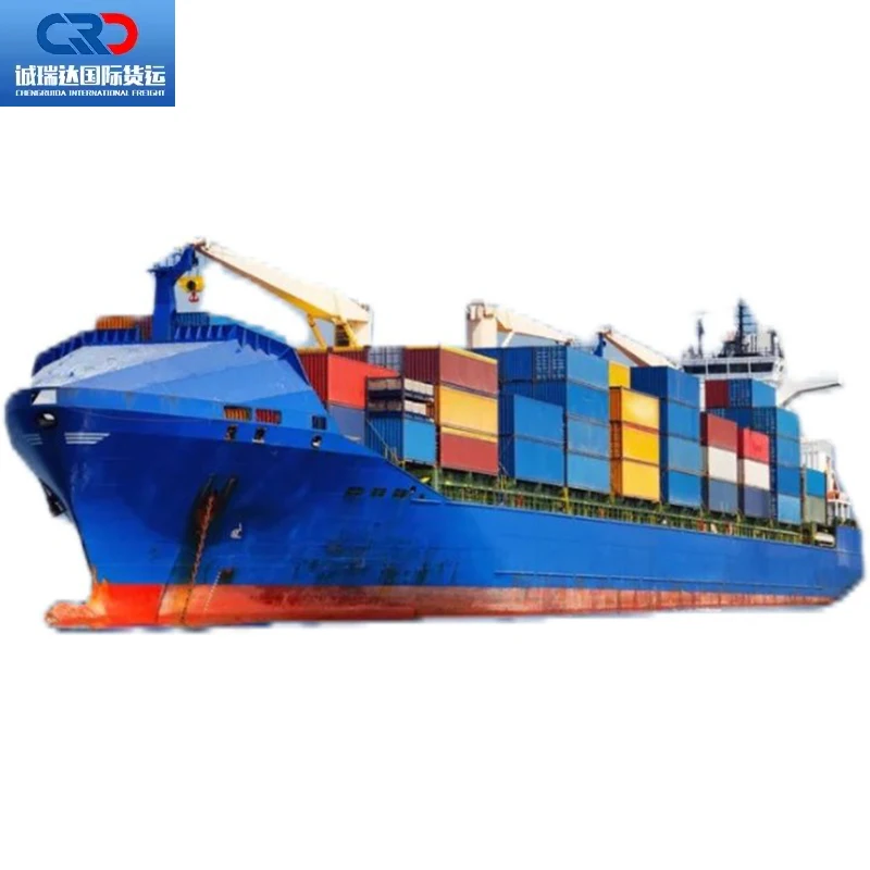 International Logistics Sea Air Cargo Door to Door FBA to Philippines Malaysia Singapore India Shipping Agent in Shenzhen China