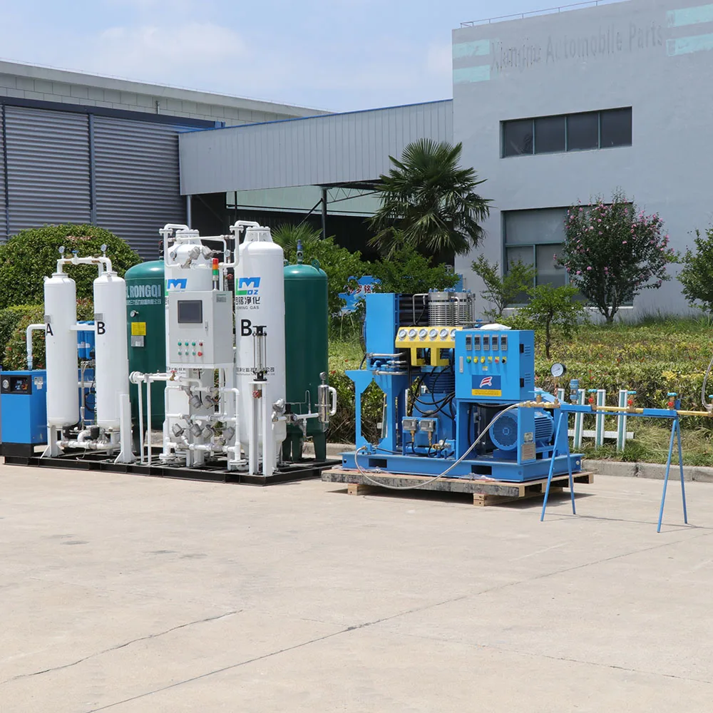 Gas Generation Equipment Oxgen Plant Hospital PSA Oxygen Generator for Cylinder Filling