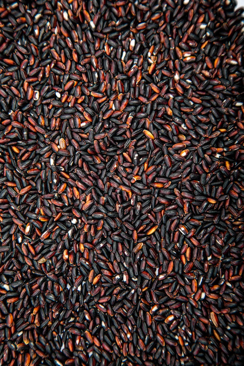 The best organic fresh staple food in LaosNutritious Laos premium black glutinous rice  at low prices in Laos