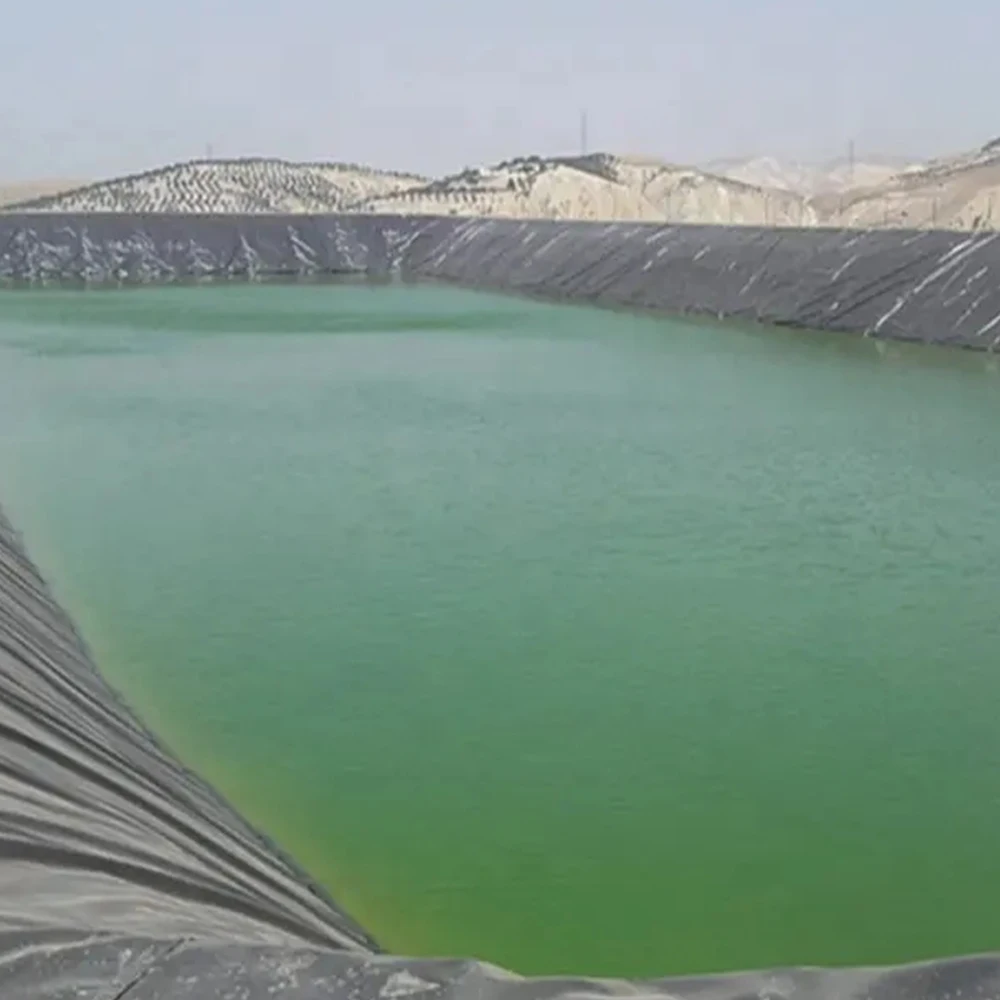 Factory Direct Sale Black and Silver Shine PE Plastic Mulch Film For Agricultural Greenhouse Crops