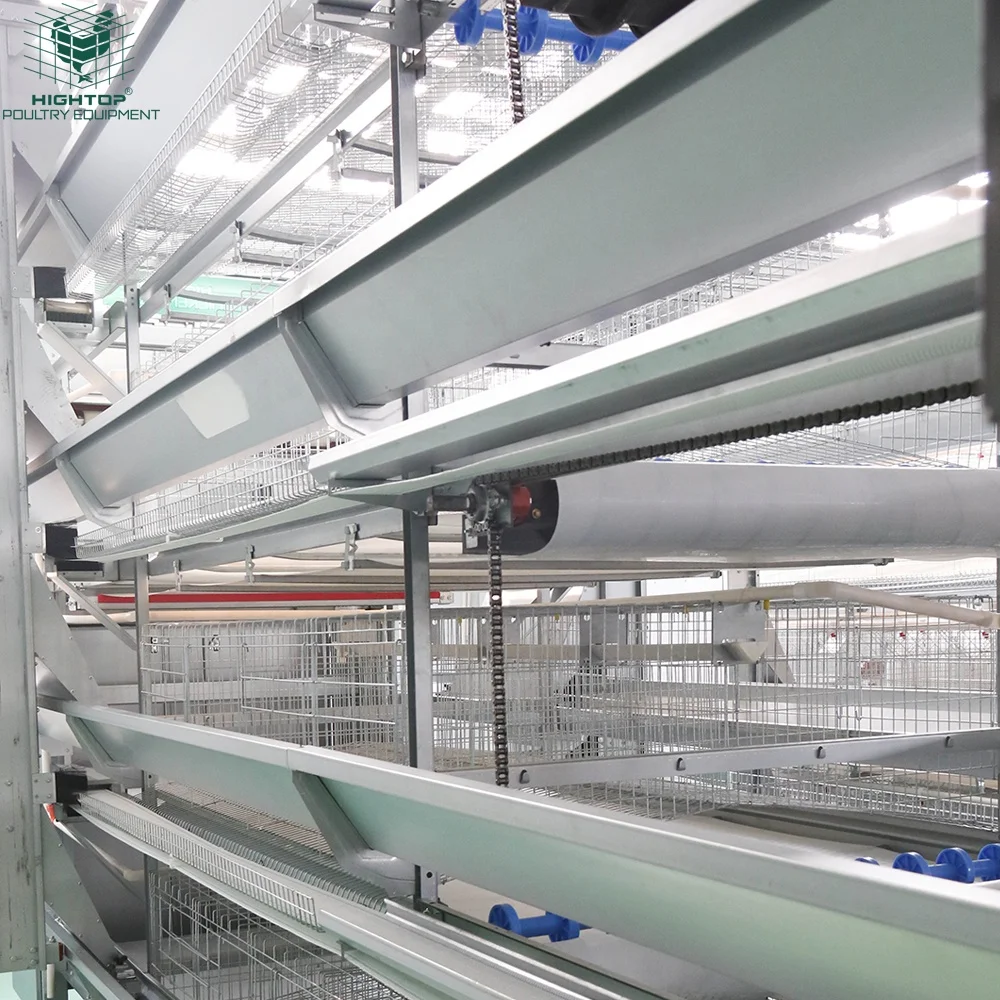 Fully Automatic Poultry Farming Equipment H Type Laying Hens Cage Battery System Egg Layer Chicken Cages