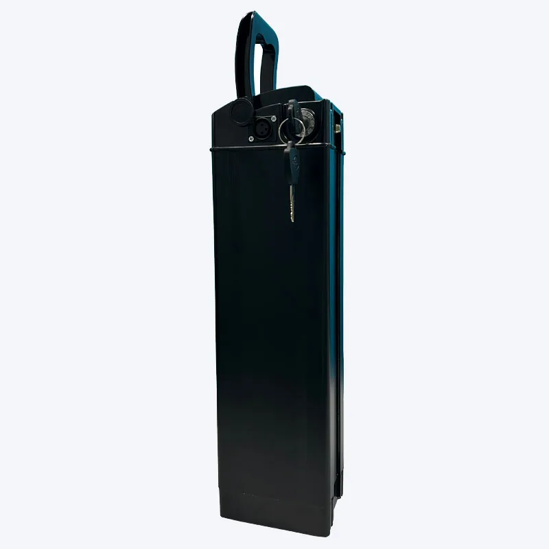 16 Inch Minako Takeaway Electric Bike Down Tube Battery 60V 20Ah Monster Electric Bike Special Battery