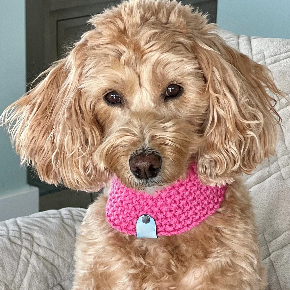 Qiqu Pet Supplies Custom New Designer Dog Scarf puppy Bandana Dog Snood Knit Infinity Pet Bandana Apparel accessories for dogs